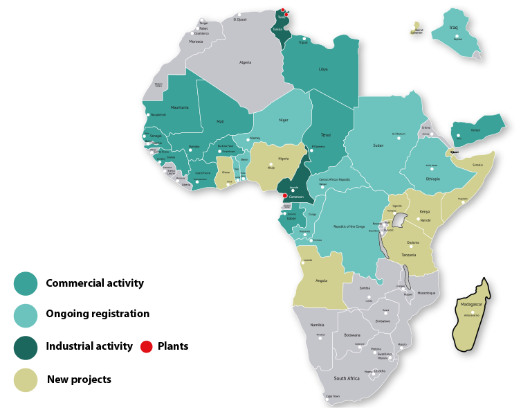 Pharmaceutical industry, export and partnership in Africa | TERIAK